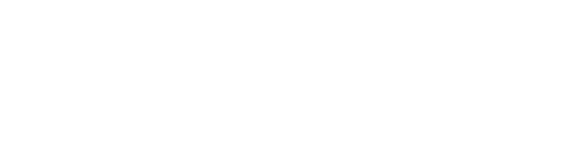 NITRO PLUS